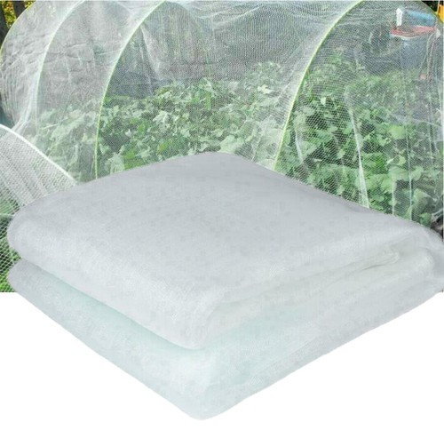 Garden mosquito bug - garden,